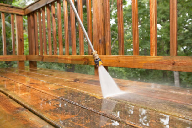 Best Dumpster Area Cleaning  in Rolesville, NC